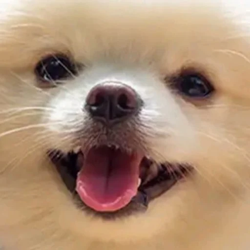 아이콘